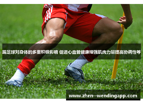 踢足球对身体的多重积极影响 促进心血管健康增强肌肉力量提高协调性等 踢足球对身体的多重积极影响 促进心血管健康增强肌肉力量提高协调性等