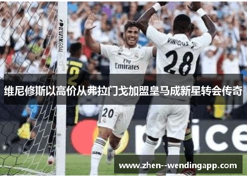 维尼修斯以高价从弗拉门戈加盟皇马成新星转会传奇